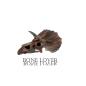 Preview: BoneLover