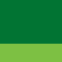 smaragd/green gecko