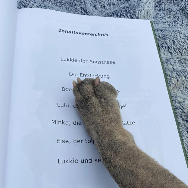 5 tierische Freunde Bilderbuch für Kinder